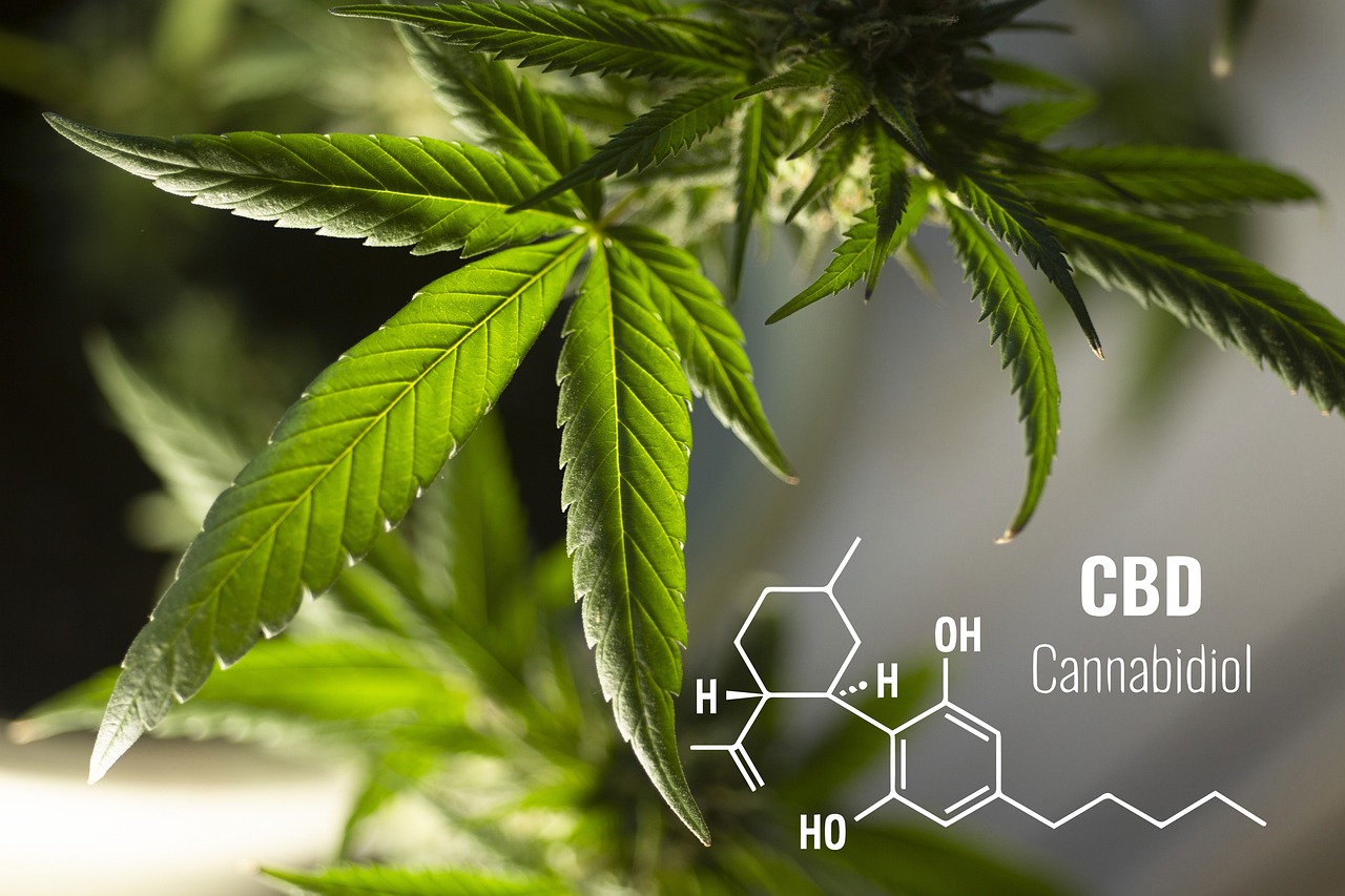 The Benefits of Cannabidiol